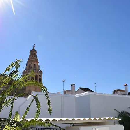 Cespedescinco Cordoba