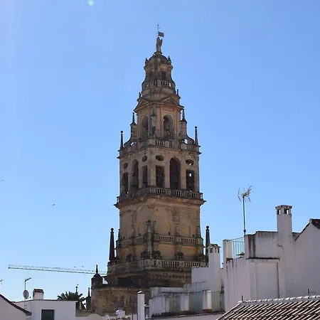 Cespedescinco Cordoba