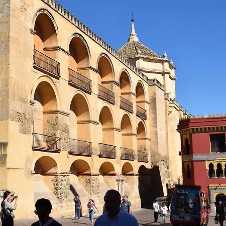 Cespedescinco Cordoba